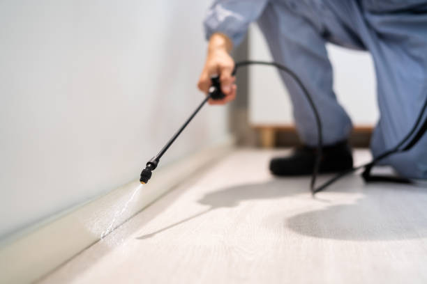Licensed Mosquito Control service in Pecos, TX - Show Me Pest Control
