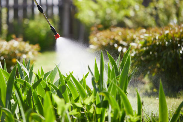 24/7 Emergency Mosquito Control experts in Pecos, TX